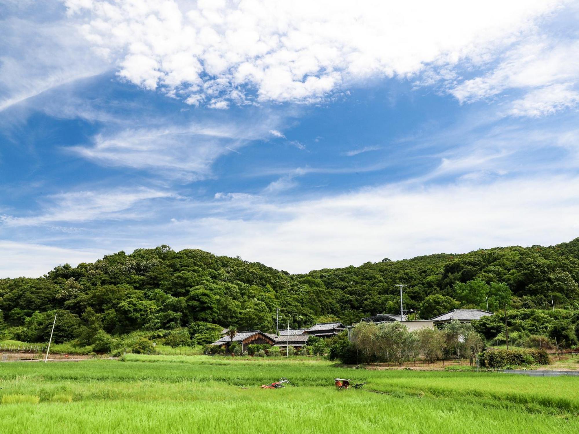 オリーブ農家の家 お泊り忠左衛門 吉野 Villa Шодошима Екстериор снимка